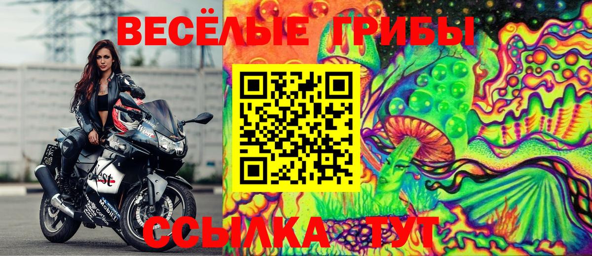 Черкесск  Галлюциногенные грибы Psilocybine cubensis  Вход с VPN 